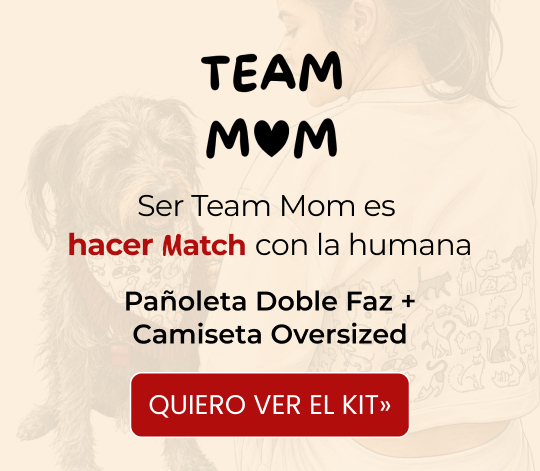 Banner Regalo día de las madres mobile1