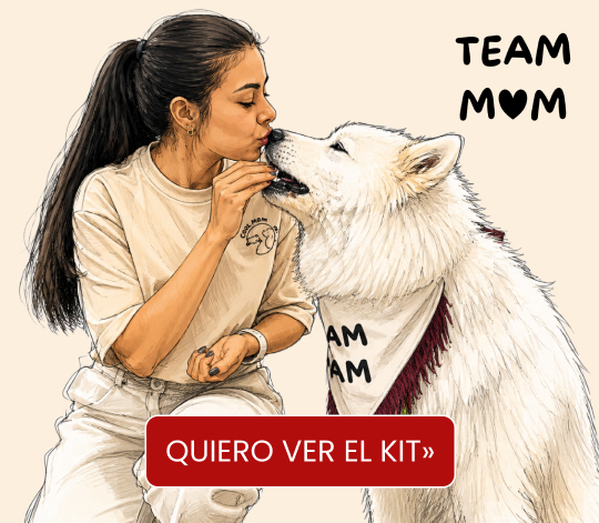 Banner Regalo día de las madres mobile2