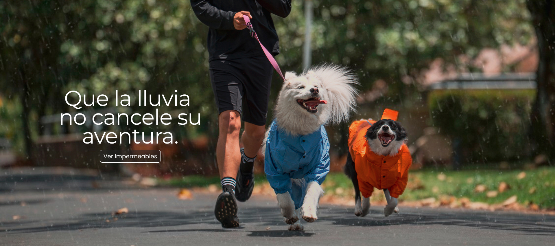 impermeables perros Impermeables cómodos para lluvia para perros