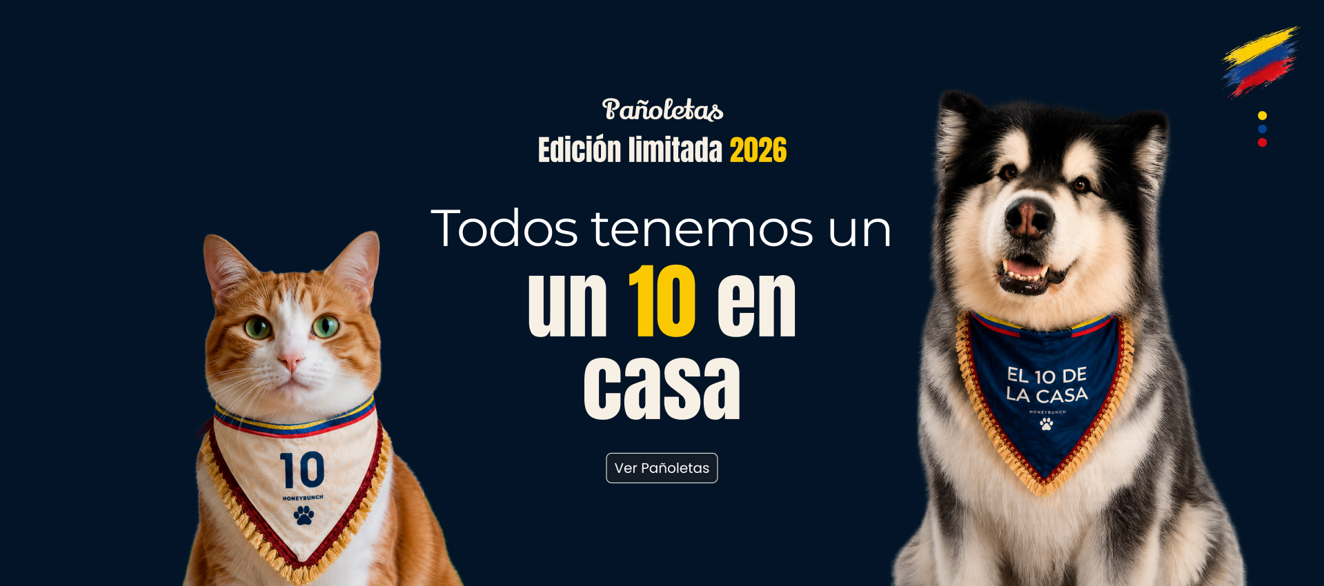pañoletas futboleras pañoletas del mundial colombia