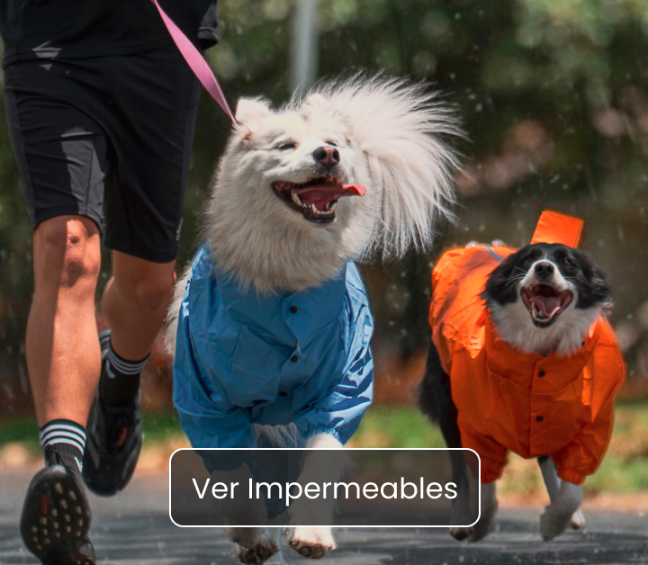 Impermeables para perros
