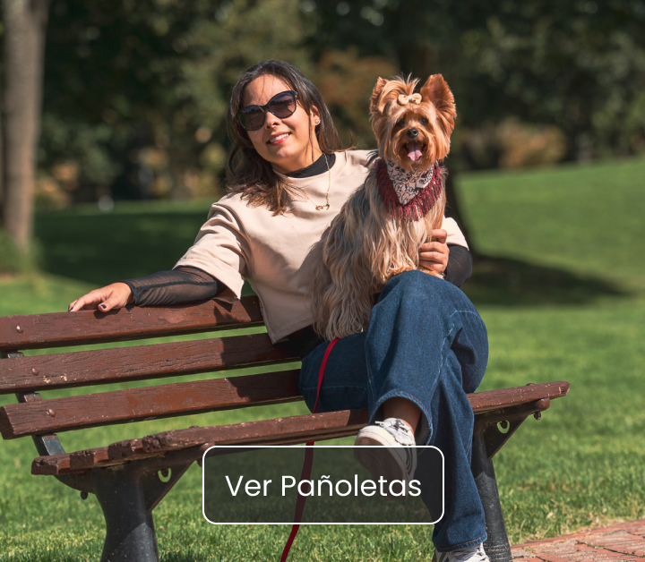 Pañoletas