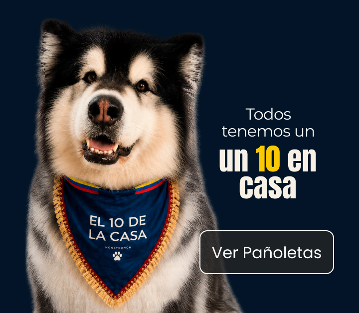 Pañoletas para perros colombia Pañoletas de futbol colombia para perros