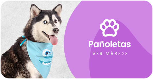 Categoria1 pañoletas honney bunch