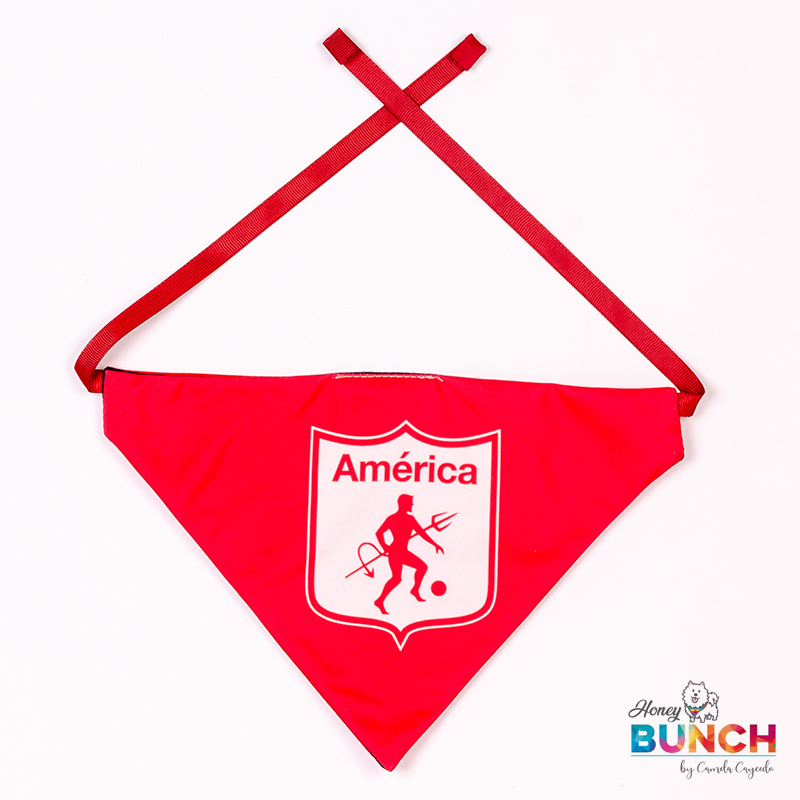 Panoleta America honeybunch