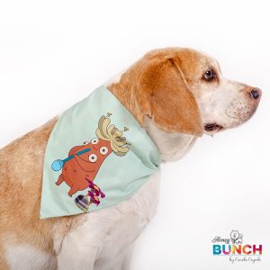 Panoleta frailejon img4 honeybunch