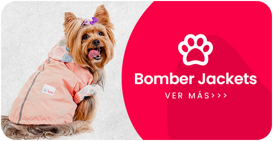Categoria bomber jacket honeybunch