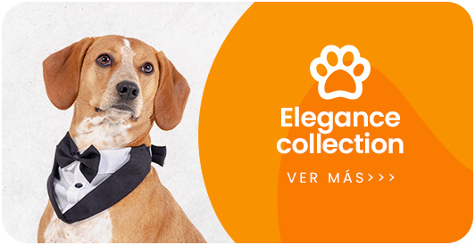 Categoria elegance collection honeybunch