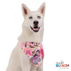 Pañoletas Spring Collection- Pink Flowers