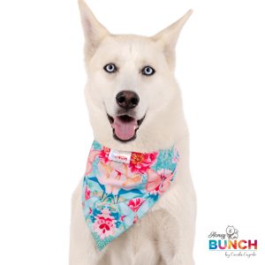 Pañoletas Spring Collection- Blue Flowers