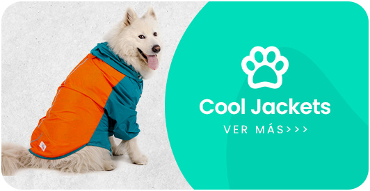 Categoria cool jackets honey bunch