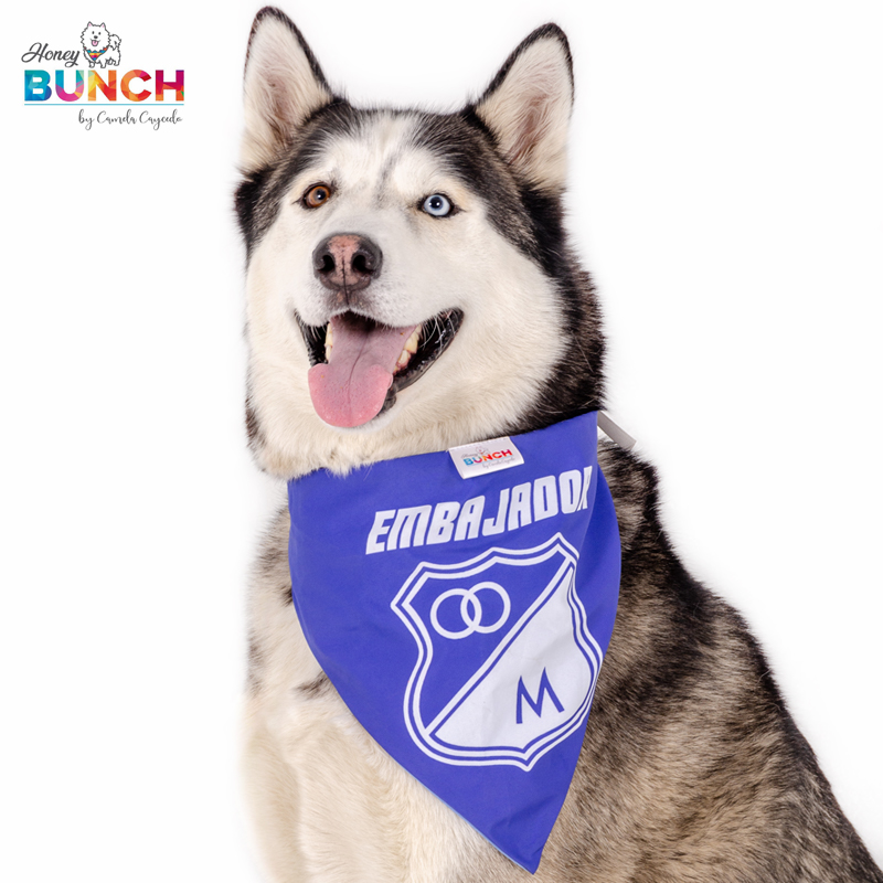 Panoleta Millonarios img1 honeybunch