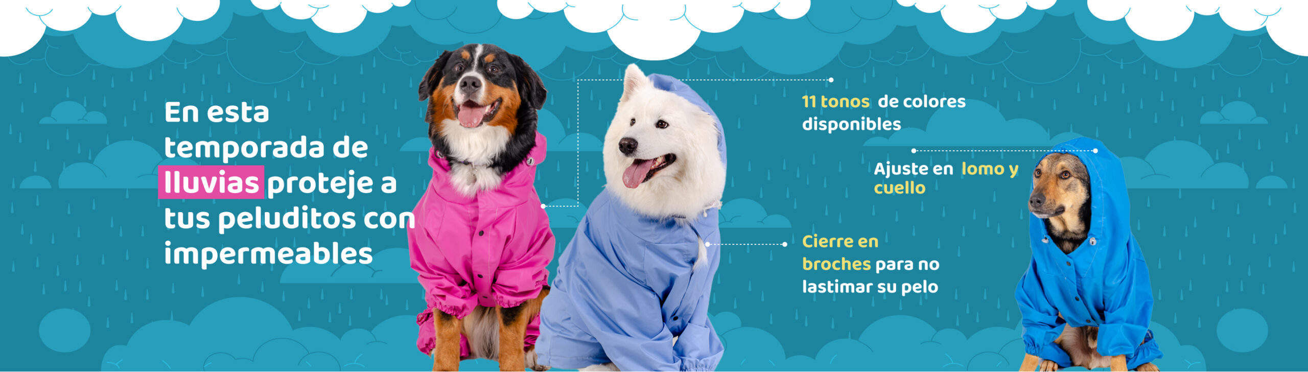 Tres perros luciendo 3 impermeables para la lluvia, con ajuste seguro de broches y de un material perfecto para limpiar y de larga duración