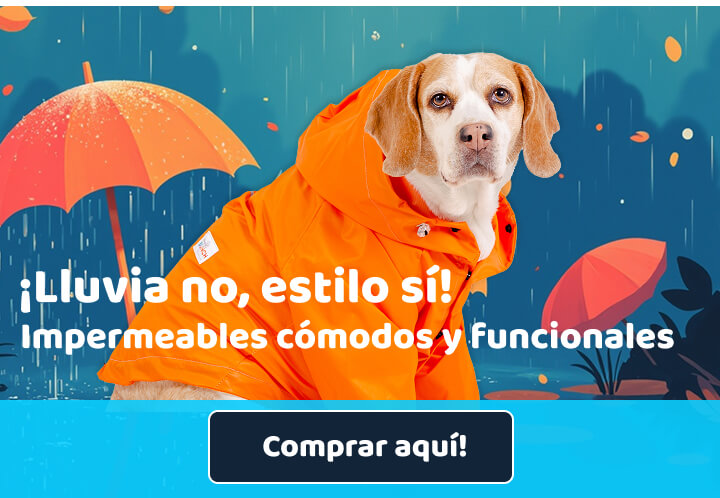 Impermeables para perritos de todos los tamaños