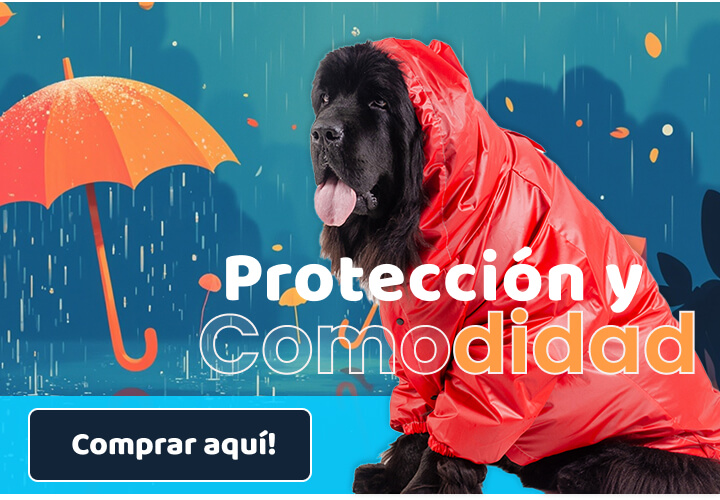 Impermeables para perritos de todos los tamaños. Protégete de la lluvia