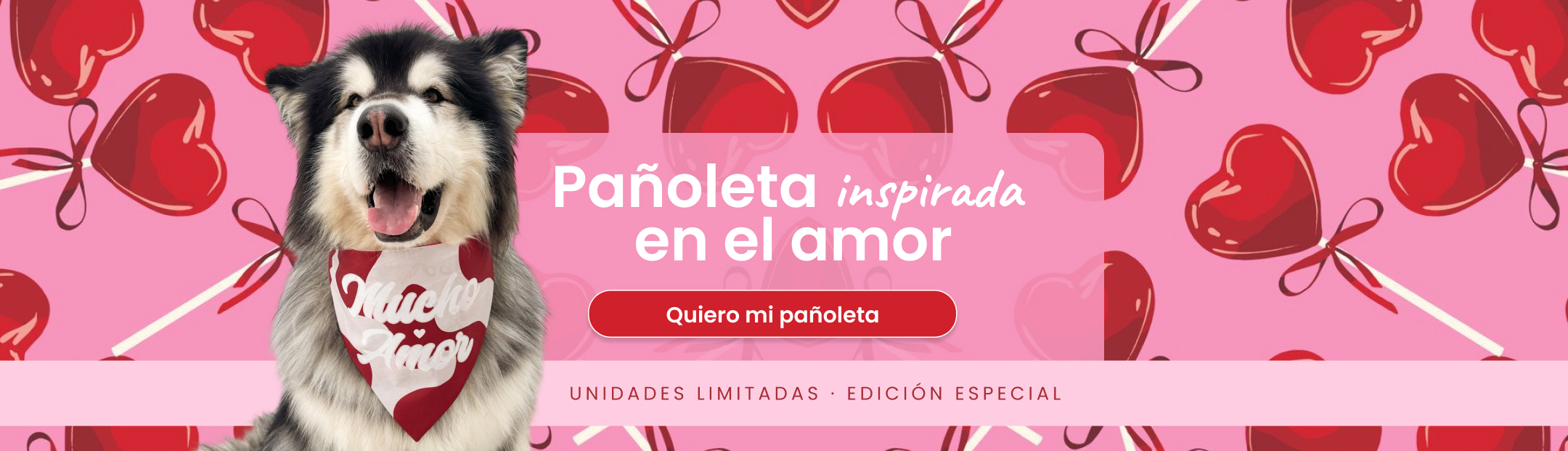 Amos y amistad, pañoletas para perros y gatos