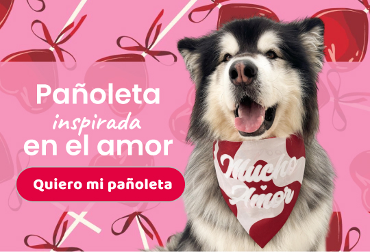Amor y amistad pañoleta