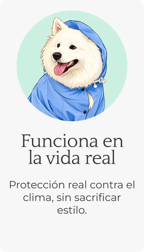 Img funciona