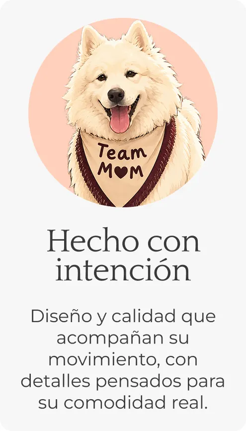 Img integracion