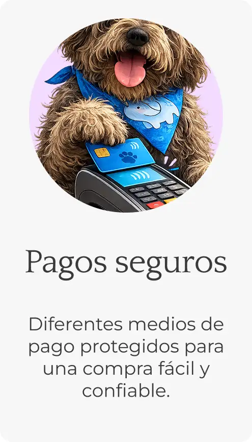 Img pagos
